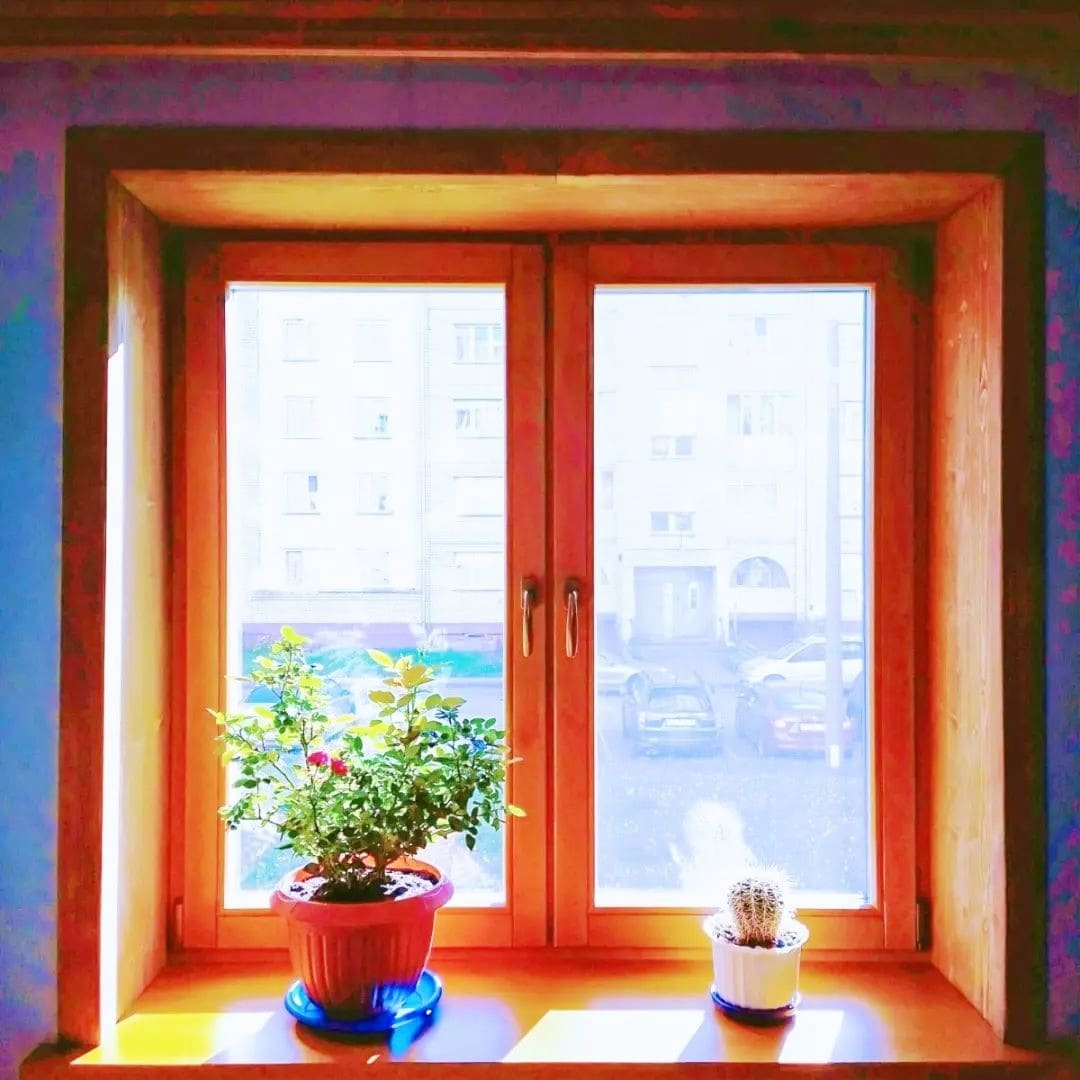 Пример работы: деревянные светлокоричнивые окна